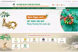 Giao diện sàn thương mại điện tử chuyên quảng bá về sâm Ngọc Linh và các sản phẩm dược liệu, nông sản đặc trưng trên địa bàn tỉnh Quảng Nam
