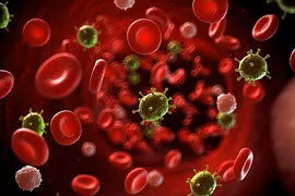 Nhiễm trùng huyết xảy ra khi virus, vi khuẩn, nấm, ký sinh trùng xâm nhập vào máu (ảnh BVCC)