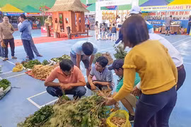 Cây dược liệu được bày bán tại chợ Sâm Ngọc Linh tỉnh Quảng Nam. (ảnh CTV)