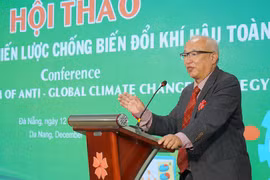 GS. Mitsuhiro Maeda – Viện AIIT Nhật Bản phát biểu tại hội thảo
