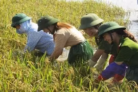 “Khát vọng Việt Nam” và “tụt hậu không còn là nguy cơ”