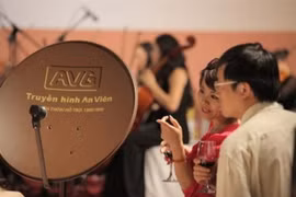 Ảnh minh họa. (Nguồn: Internet)