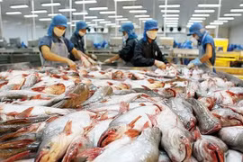 Mỹ đã giảm bớt áp lực lên Việt Nam liên quan thuế chống bán phá giá với sản phẩm cá da trơn Việt Nam. (Ảnh: Internet)