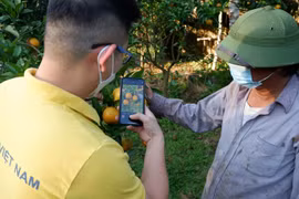 Nông dân được hướng dẫn sử dụng máy tính, điện thoai thông minh, Internet, nền tảng thương mại điện tử… để sớm làm chủ được hình thức bán hàng mới.