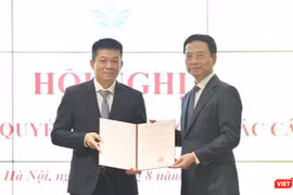 Ông Nguyễn Hồng Thắng giữ chức vụ Cục trưởng Cục Viễn thông, Bộ TT&TT từ tháng 8/2022.