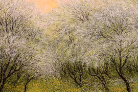 Vườn xuân, Acrylic, 100x80cm, sáng tác năm 2019 của họa sĩ Nguyễn Lâm