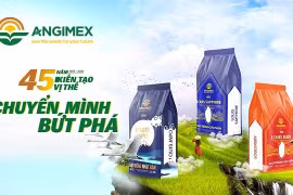 Các dòng sản phẩm mới của Angimex Food nhanh chóng chinh phục thị trường trong nước và quốc tế như châu Âu, châu Mỹ, châu Á, châu Phi, Trung Đông… nhờ chất lượng sản phẩm vượt trội.