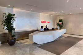Gelex trên đường làm chủ Viglacera