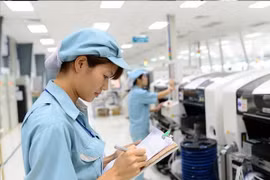 Công đoạn kiểm tra - ghi nhật kí công việc luôn được làm kĩ lưỡng.