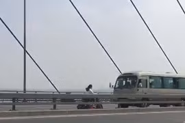 Ảnh chụp màn hình.