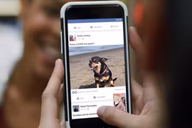 Hệ thống Facebook không bị thâm nhập hay mật khẩu bị lộ mà là do đơn vị cung cấp ứng dụng giao bán thông tin cho các bên thứ 3 vì mục đích lợi nhuận. Ảnh: CNet