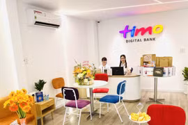 Ông Nguyễn Bảo Hoàng làm Chủ tịch điều hành ngân hàng số Timo.