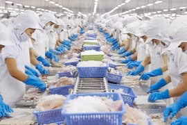 Vĩnh Hoàn (VHC) báo lãi sau thuế cả năm 2021 ở mức 1.110,1 tỉ đồng, tăng trưởng 54%