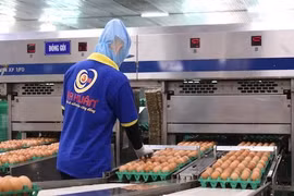 Bà chủ Ba Huân: 10 năm trước FPT từng ngỏ lời hỗ trợ chuyển đổi số