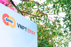 VNPT bán 4,2 triệu quyền mua cổ phần tại VNPT Epay