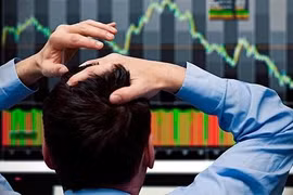 NDN, L14 “ôm lỗ” trăm tỉ vì đầu tư chứng khoán