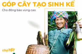 TreeBank, Chợ Tốt góp cây tạo sinh kế bền vững cho đồng bào vùng cao