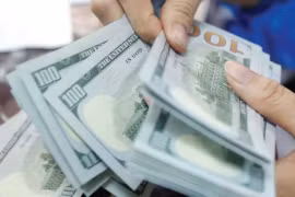ACBS: NHNN đã bán 22 tỉ USD, dự trữ ngoại hối còn 87 tỉ USD