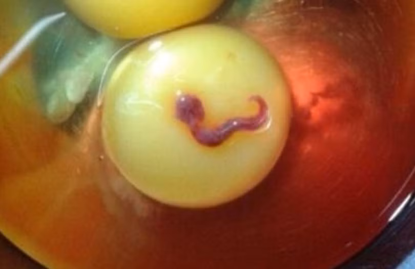 Chặt chém: Khách sạn 46 triệu/đêm khách vẫn ngủ vỉa hè ảnh 4 Chặt chém: Khách sạn 46 triệu/đêm khách vẫn ngủ vỉa hè ảnh 4