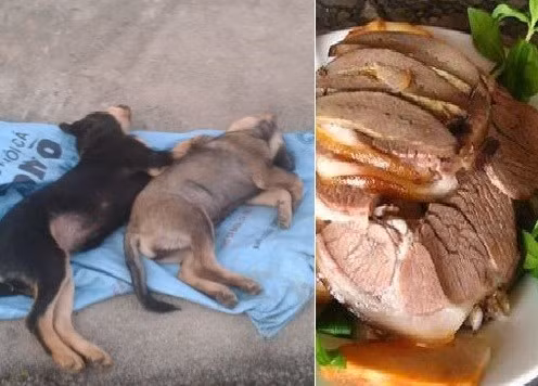 Chặt chém: Khách sạn 46 triệu/đêm khách vẫn ngủ vỉa hè ảnh 5 Chặt chém: Khách sạn 46 triệu/đêm khách vẫn ngủ vỉa hè ảnh 5