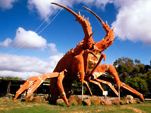 Tôm hùm khổng lồ,Australia Con tôm hùm khổng lồ này được biết đến với cái tên Larry,có chiềucao 17 m, được xây dựng năm 1979 để quảng bá chongành công nghiệp chế biến hải sản, rượu, phô mátvà gỗ của khu vực. Tại nơi bức tượng tọa lạc là một khudu lịch với đầy đủnhà hàng và quầylưu niệm. Tôm hùm khổng lồ,Australia Con tôm hùm khổng lồ này được biết đến với cái tên Larry,có chiềucao 17 m, được xây dựng năm 1979 để quảng bá chongành công nghiệp chế biến hải sản, rượu, phô mátvà gỗ của khu vực. Tại nơi bức tượng tọa lạc là một khudu lịch với đầy đủnhà hàng và quầylưu niệm.