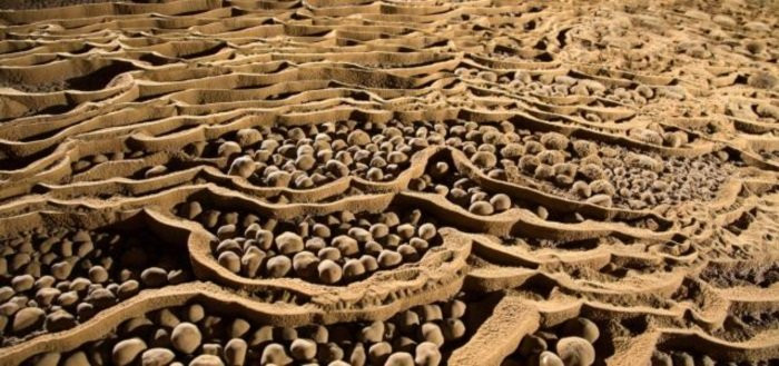 Vẻ đẹp kỳ thú bên trong hang Sơn Đoòng ảnh 5 Vẻ đẹp kỳ thú bên trong hang Sơn Đoòng ảnh 5