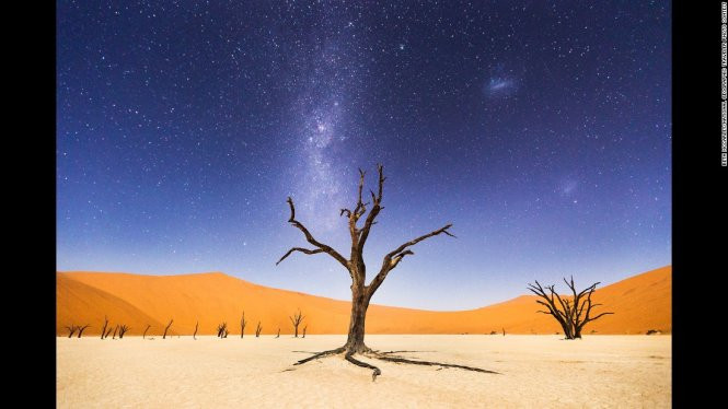 Khung trời bầu trời đêm ở Deadvlei thuộc Namibia. Ánh trăng đủ soi sáng những cồn cát phía xa xa, làm nổi bật lên cây Acacia erioloba 900 năm tuổi trơ trọi lá trong môi trường khô cằn - Ảnh đoạt giải khuyến khích của Beth McCarley/hạng mục Sense of place