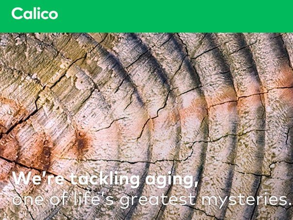 Calico, một công ty khác thuộc Google, có sứ mệnh chiến đấu chống lại sự lão hóa và tăng tuổi thọ con người.