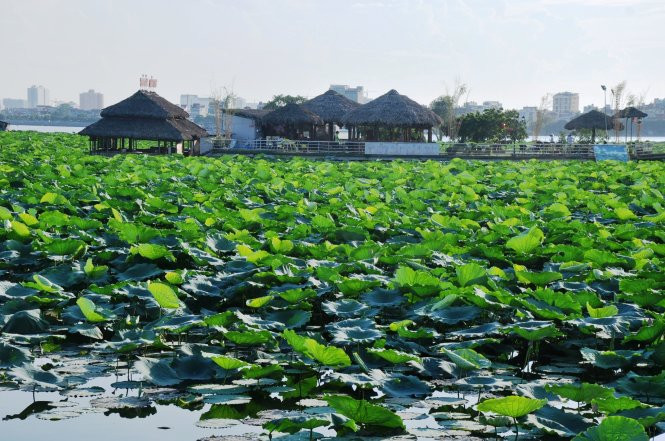 Một khu nhà hàng phục vụ ăn uống ngay trên mặt hồ - Ảnh: QUANG THẾ Một khu nhà hàng phục vụ ăn uống ngay trên mặt hồ - Ảnh: QUANG THẾ