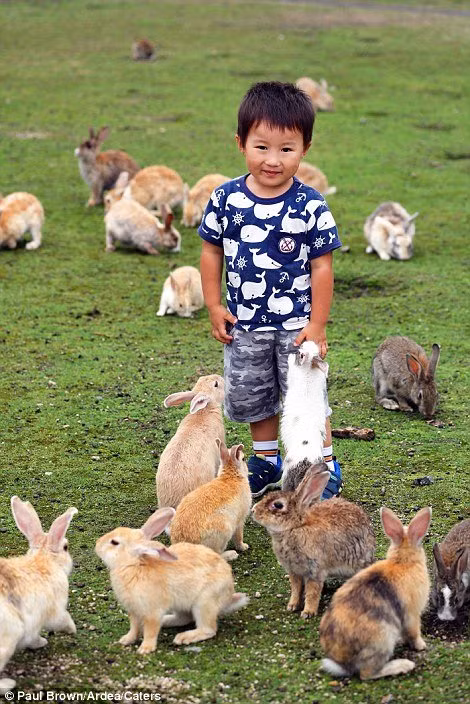 Trẻ em và thỏ - Ảnh: Paul Brown/Daily Mail