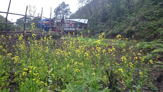 Thâm nhập đường dây phá rừng: “Phù phép” gỗ rừng thành gỗ nhà ảnh 1 Thâm nhập đường dây phá rừng: “Phù phép” gỗ rừng thành gỗ nhà ảnh 1