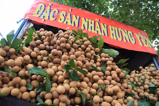 Nhãn Thái Lan, Trung Quốc gắn mác nhãn lồng Hưng Yên