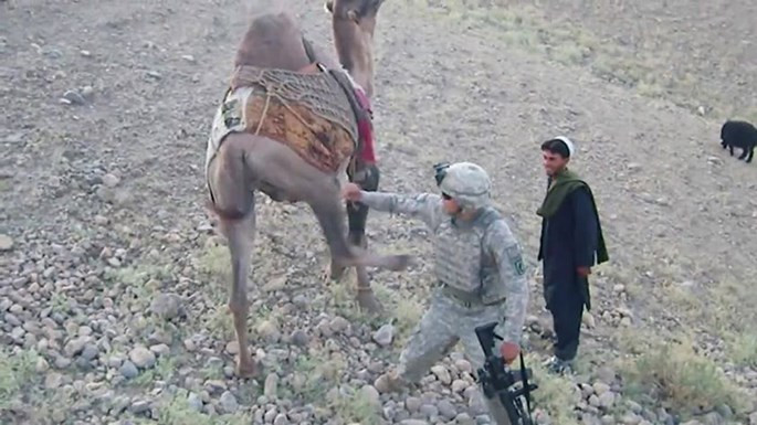 Lạc đà Afghanistan đá lính Mỹ té nhào ảnh 1