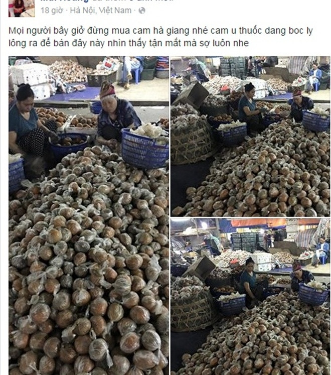 Khi đám đông Facebook lú lẫn: Sự im lặng bấm nút like của bầy cừu! ảnh 3 Khi đám đông Facebook lú lẫn: Sự im lặng bấm nút like của bầy cừu! ảnh 3