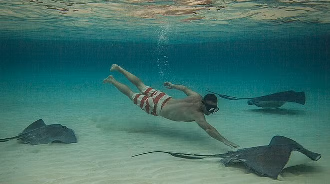 Cayman cũng như khu vực Carribean không chỉ là thiên đường du lịch mà còn là thiên đường thuế