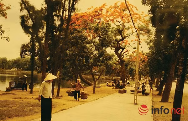 Hà Nội những năm 1980 qua ống kính người Pháp ảnh 14