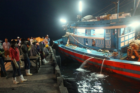 Vừa cập cảng, ngư dân Quảng Bình đã thu cả trăm triệu đồng ảnh 3