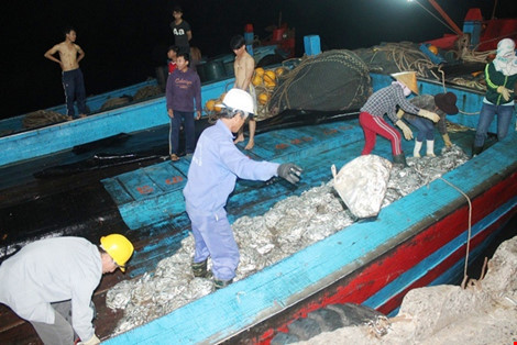 Vừa cập cảng, ngư dân Quảng Bình đã thu cả trăm triệu đồng ảnh 4