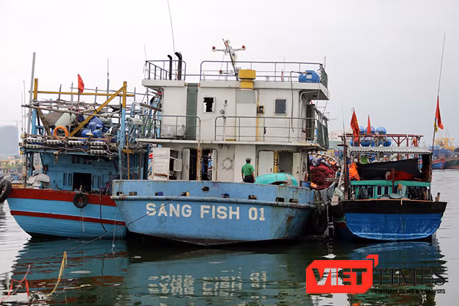 Tàu Sang Fish 01 buộc phải trả về nơi sản xuất vì những lỗi khiến ngư dân không thể chấp nhận
