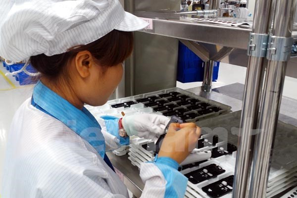 Phần mềm Việt: Sụt giảm trong nước, tăng trưởng nước ngoài ảnh 1