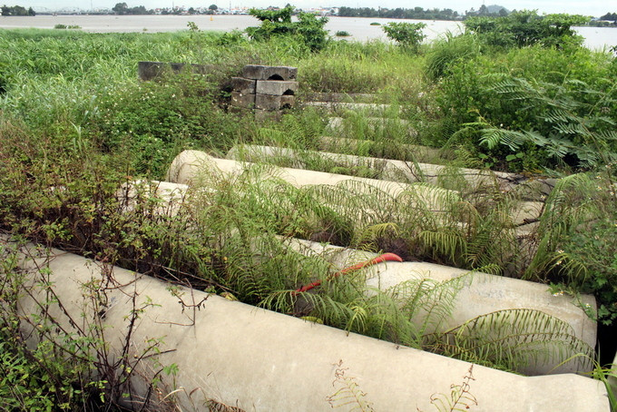 Dự án lấn sông Đồng Nai như thế nào sau 2 năm tạm dừng ảnh 7