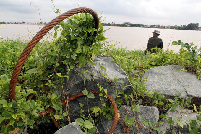 Dự án lấn sông Đồng Nai như thế nào sau 2 năm tạm dừng ảnh 6