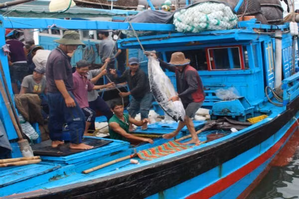 Có 14 doanh nghiệp được phép thí điểm đưa lao động là thuyền viên sang Đài Loan làm việc