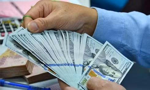 Thị trường ngoại tệ đang dần ổn định trở lại