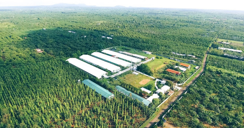 Nguồn ảnh VGP_LN.jpg