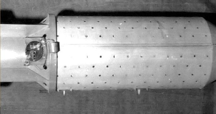 Bom dơi (Ảnh: Wikimedia)