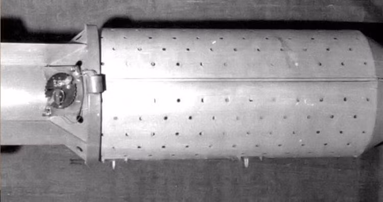 Bom dơi (Ảnh: Wikimedia)