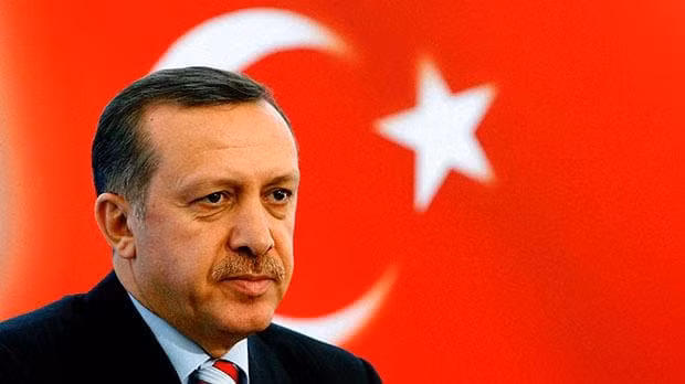 Erdogan hứa hỗ trợ Ukraine trong kỳ vọng đòi lại chủ quyền về Crimea.