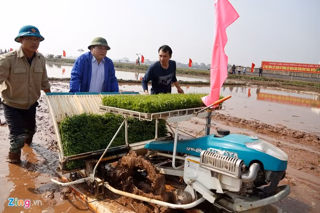 Bí thư Hà Nội xắn quần đi cấy đầu năm