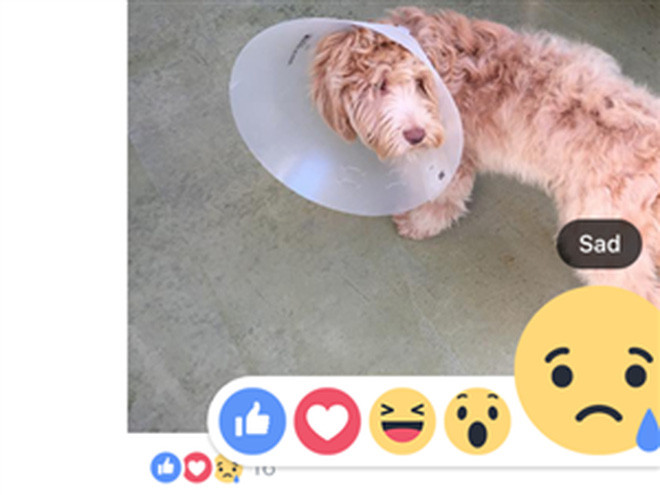 Facebook ra Like, Love, Haha, Wow, Sad, Angry trên toàn cầu, có cả Việt Nam